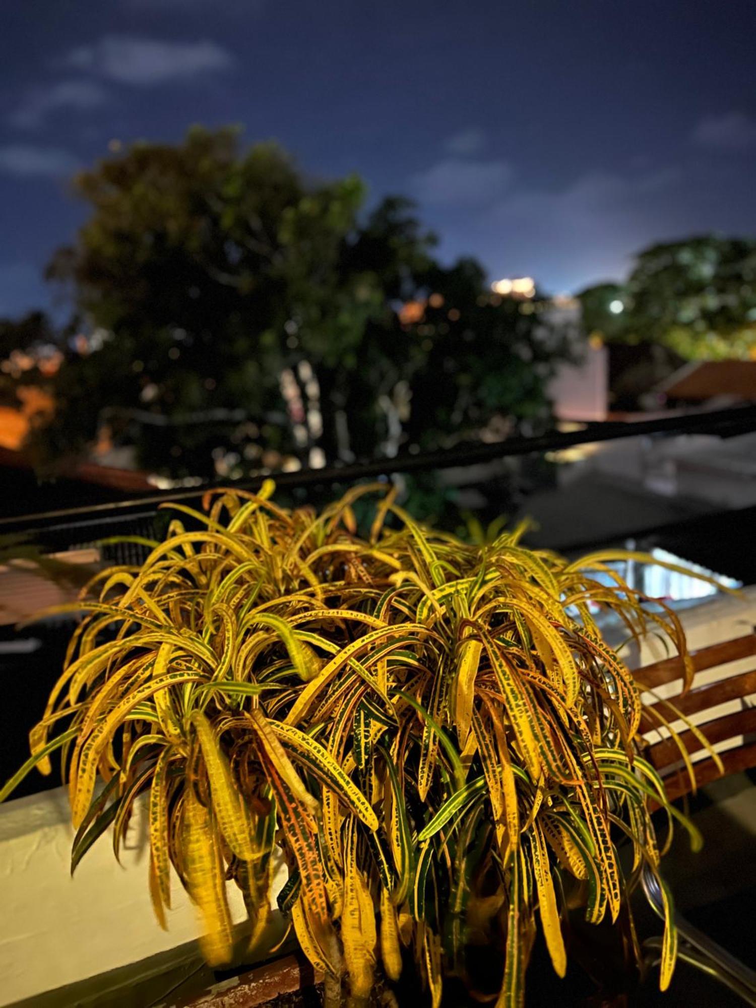La Viduka Hostel Cartagena Kültér fotó